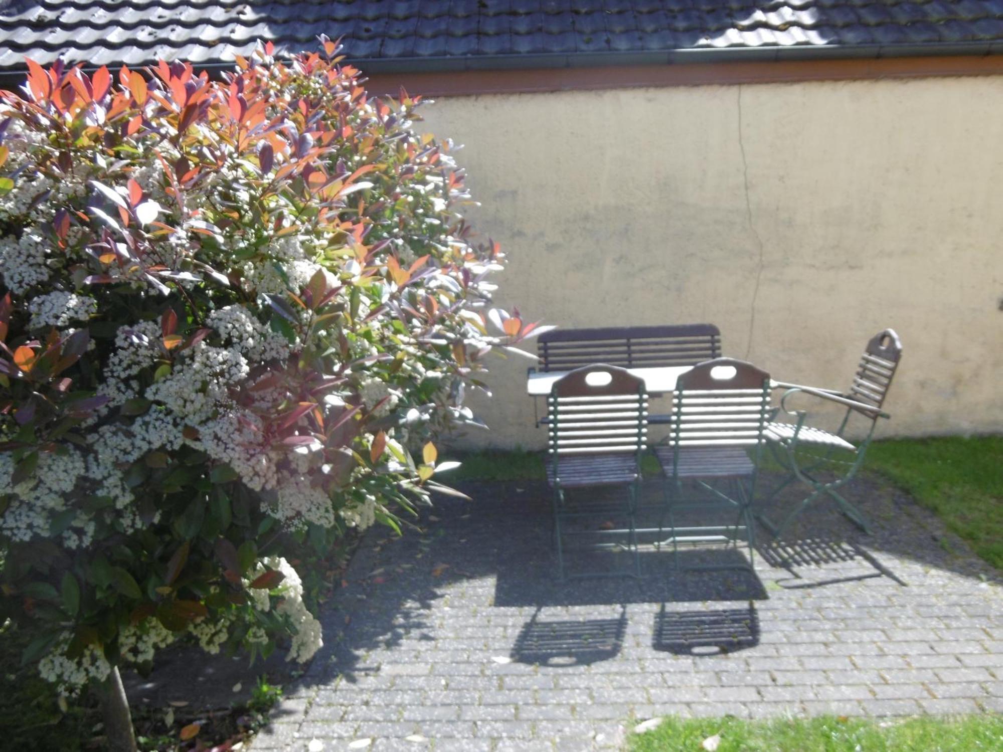 Ferienwohnung Ettenheim Exteriér fotografie